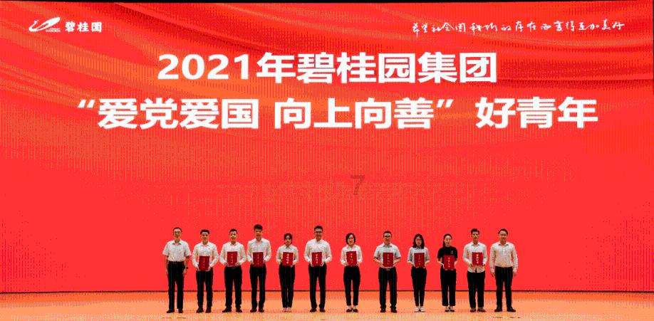 拯救精灵的土地9